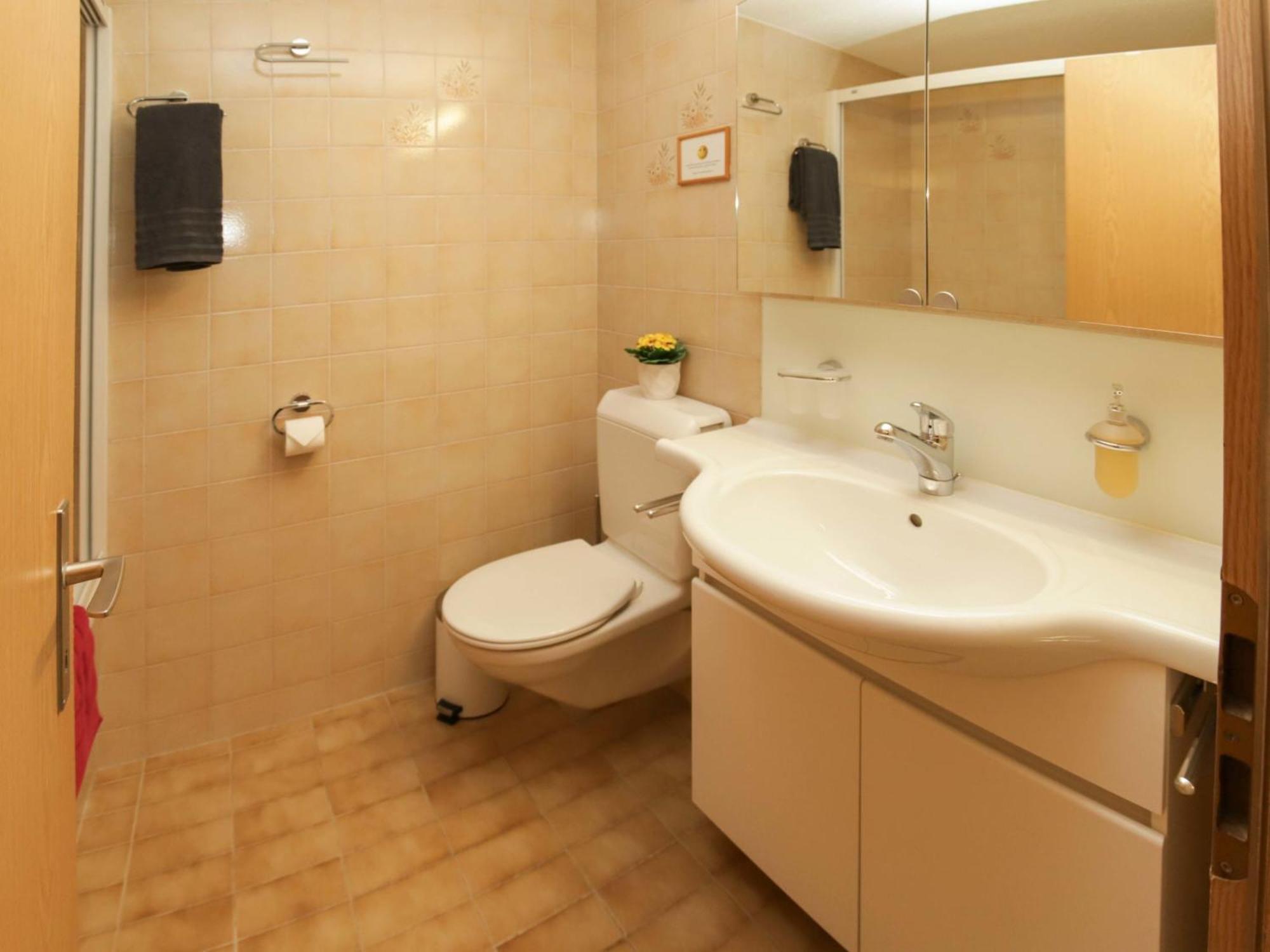 Apartment Belmi By Interhome Zweisimmen Εξωτερικό φωτογραφία
